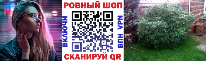 Виды наркотиков купить Терек Каннабис  Метадон  Alpha PVP  ГАШИШ  Мефедрон 
