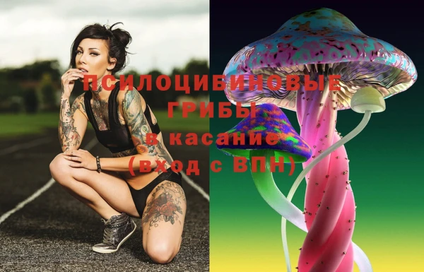 дживик Новокубанск