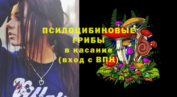 дживик Новокубанск