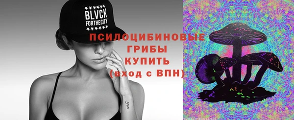 Альфа ПВП Ахтубинск