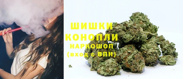 дживик Новокубанск